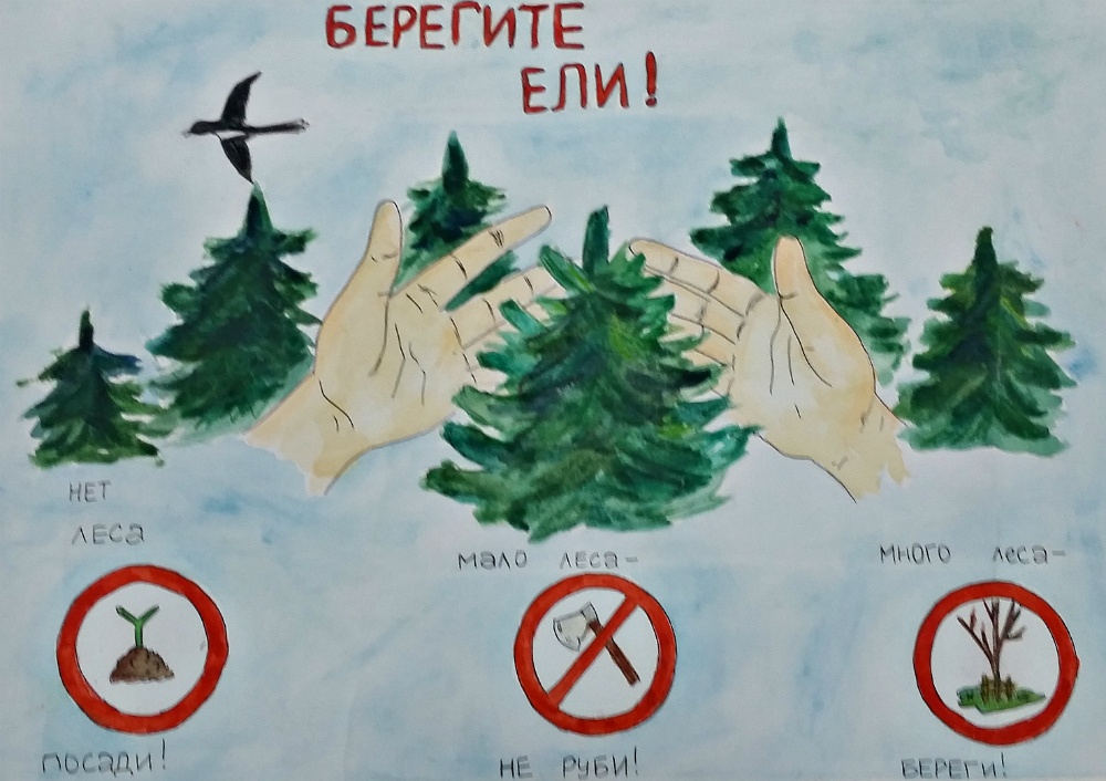 Охрана леса от вырубки. Плакат в защиту елок. Берегите елочку. Плакат берегите елочку. Плакат на тему берегите елки.